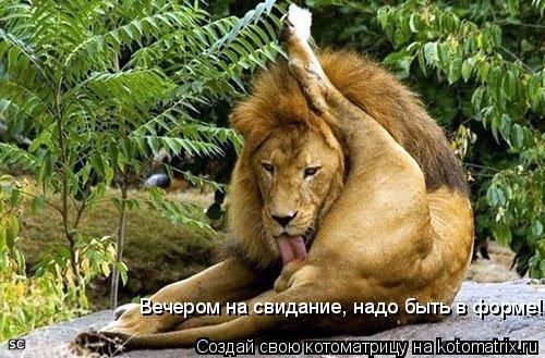 Вечером на свидание, надо быть в форме!... Котоматрица: Вечером на свидание, надо быть в форме!