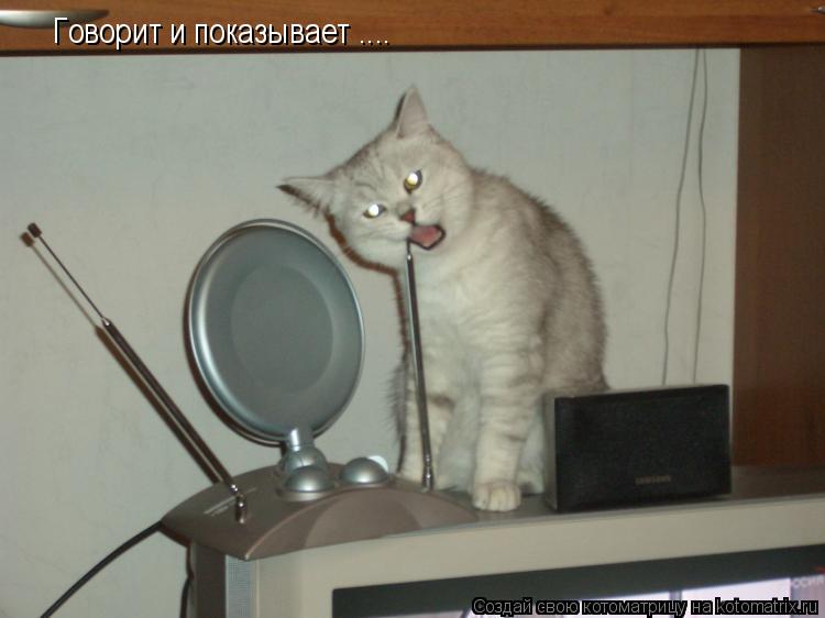 Говорит и показывает ....... Котоматрица: Говорит и показывает ....