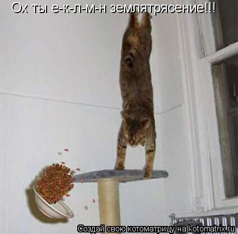 Ох ты е-к-л-м-н землятрясение!!!... Котоматрица: Ох ты е-к-л-м-н землятрясение!!!