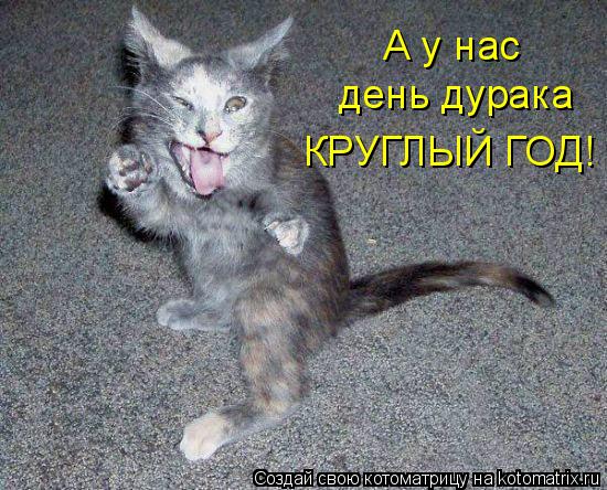 А у нас день дурака КРУГЛЫЙ ГОД!... Котоматрица: А у нас день дурака КРУГЛЫЙ ГОД!
