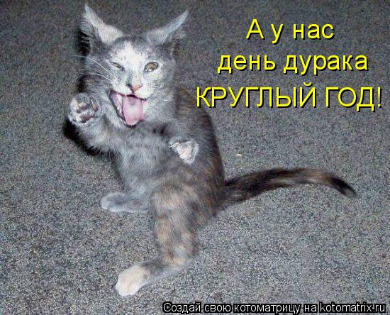 Котоматрица: А у нас день дурака КРУГЛЫЙ ГОД!