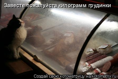Завесте пожалуйста килограмм грудинки... Котоматрица: Завесте пожалуйста килограмм грудинки