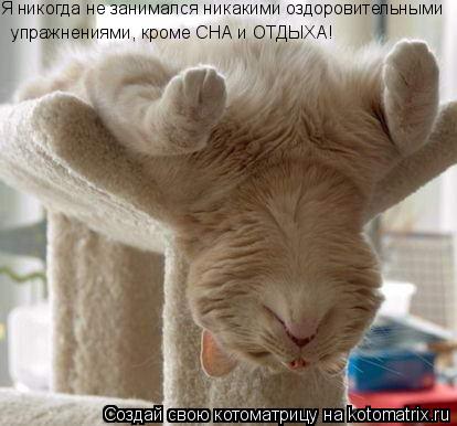 Я никогда не занимался никакими оздоровительными упражнениями, кроме СНА и ОТДЫХА!... Котоматрица: Я никогда не занимался никакими оздоровительными упражнениями, кроме СНА и ОТДЫХА!