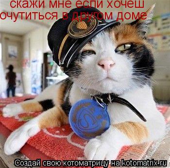 скажи мне если хочеш очутиться в другом доме... Котоматрица: скажи мне если хочеш очутиться в другом доме