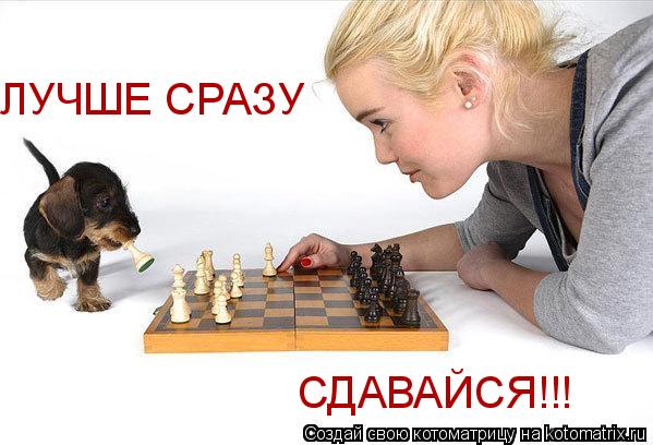 ЛУЧШЕ СРАЗУ СДАВАЙСЯ!!!... Котоматрица: ЛУЧШЕ СРАЗУ СДАВАЙСЯ!!!