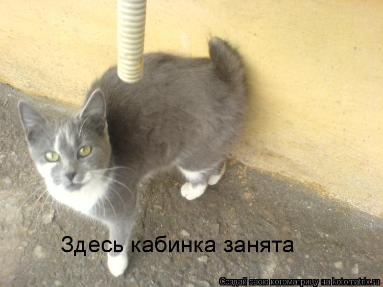 Здесь кабинка занята... Котоматрица: Здесь кабинка занята