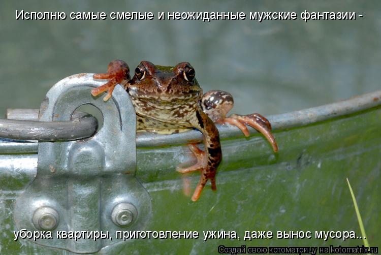 Котоматрица: Исполню самые смелые и неожиданные мужские фантазии - уборка квартиры, приготовление ужина, даже вынос мусора...