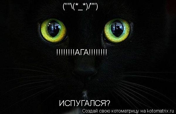ИСПУГАЛСЯ? (""(*_*)/"") !!!!!!!!АГА!!!!!!!!... Котоматрица: ИСПУГАЛСЯ? (""(*_*)/"") !!!!!!!!АГА!!!!!!!!