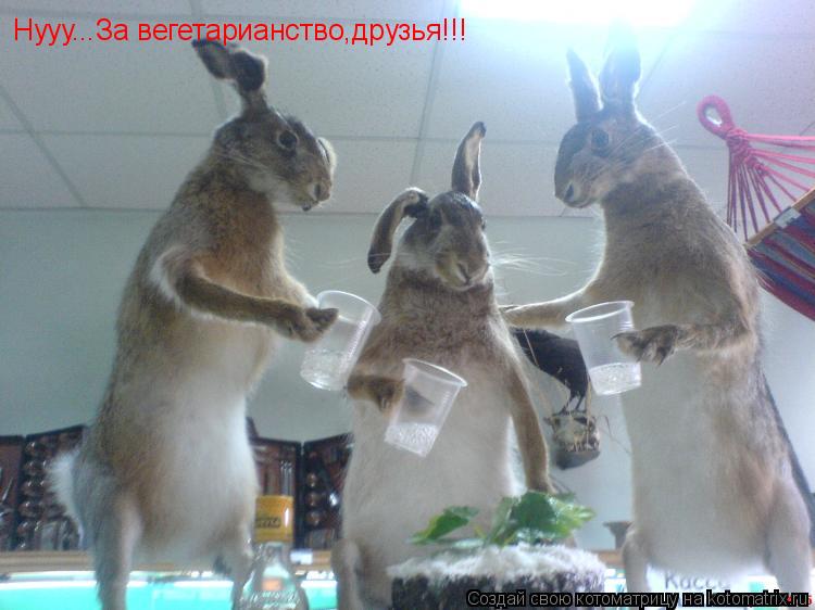 Нууу...За вегетарианство,друзья!!!... Котоматрица: Нууу...За вегетарианство,друзья!!!