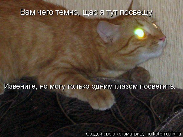 Вам чего темно, щас я тут посвещу. Извените, но могу только одним глазом посветить.... Котоматрица: Вам чего темно, щас я тут посвещу. Извените, но могу только одним глазом посветить.