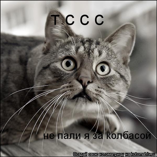 т с с с не пали я за колбасой... Котоматрица: т с с с не пали я за колбасой