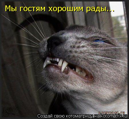 Мы гостям хорошим рады...... Котоматрица: Мы гостям хорошим рады...
