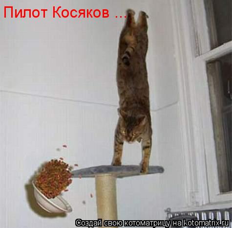 Пилот Косяков ...... Котоматрица: Пилот Косяков ...