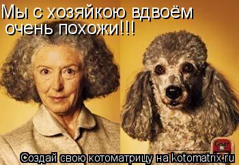Мы с хозяйкою вдвоём очень похожи!!!... Котоматрица: Мы с хозяйкою вдвоём очень похожи!!!