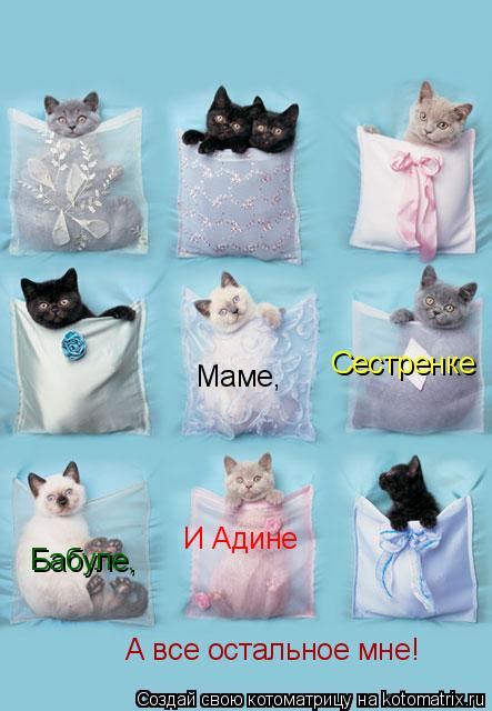 Маме, Сестренке Бабуле, И Адине А все остальное мне!... Котоматрица: Маме, Сестренке Бабуле, И Адине А все остальное мне!