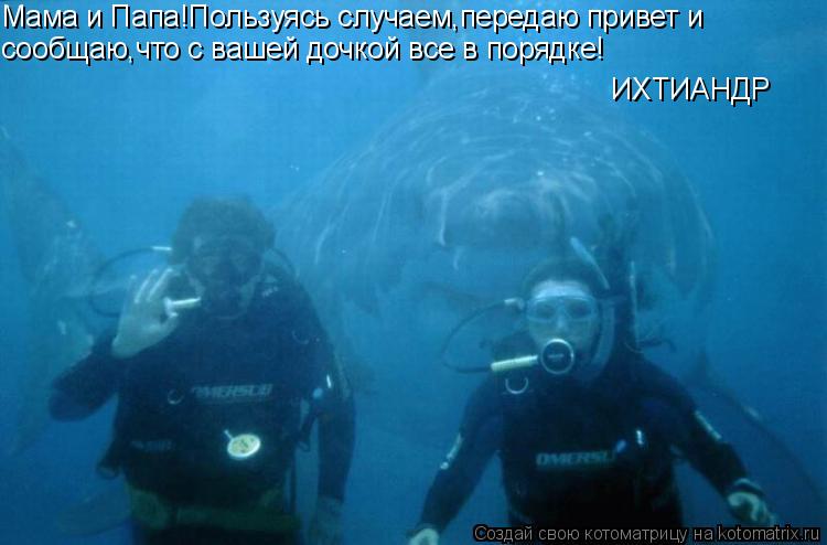 Котоматрица: Мама и Папа!Пользуясь случаем,передаю привет и Мама и Папа!Пользуясь случаем,передаю привет и сообщаю,что с вашей дочкой все в порядке! ИХТИ