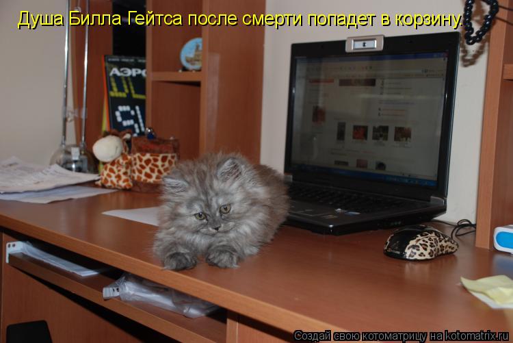 Душа Билла Гейтса после смерти попадет в корзину.... Котоматрица: Душа Билла Гейтса после смерти попадет в корзину.