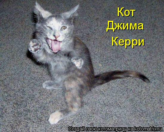 Кот Джима Керри... Котоматрица: Кот Джима Керри