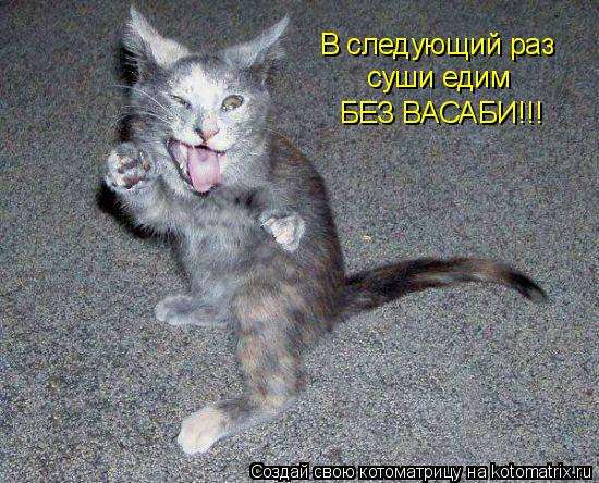 В следующий раз суши едим БЕЗ ВАСАБИ!!!... Котоматрица: В следующий раз суши едим БЕЗ ВАСАБИ!!!