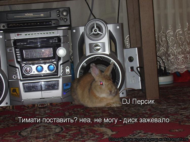 Тимати поставить? неа, не могу - диск зажевало DJ Персик... Котоматрица: Тимати поставить? неа, не могу - диск зажевало DJ Персик