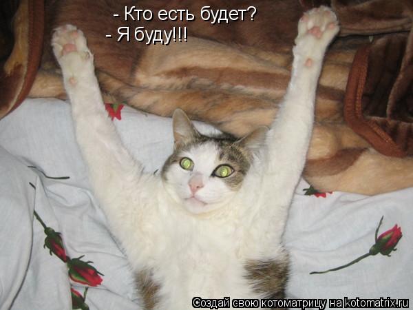 - Кто есть будет? - Я буду!!!... Котоматрица: - Кто есть будет? - Я буду!!!