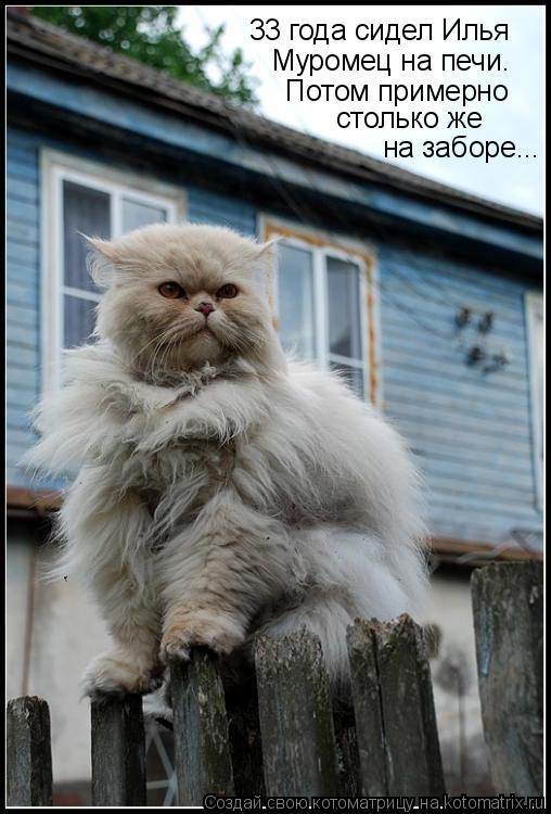 33 года сидел Илья Муромец на печи. Потом примерно на заборе... столько же... Котоматрица: 33 года сидел Илья Муромец на печи. Потом примерно на заборе... столько же