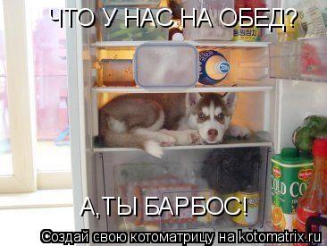 ЧТО У НАС НА ОБЕД? А,ТЫ БАРБОС!... Котоматрица: ЧТО У НАС НА ОБЕД? А,ТЫ БАРБОС!