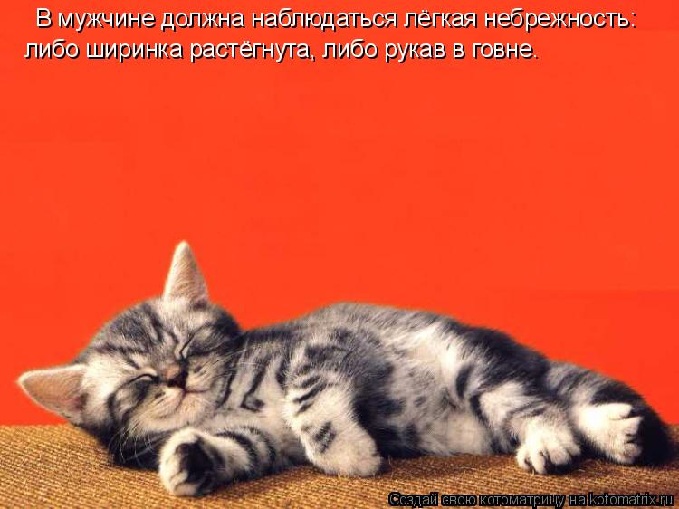 В мужчине должна наблюдаться лёгкая небрежность: либо ширинка растёгнута, либо рукав в говне…... Котоматрица: В мужчине должна наблюдаться лёгкая небрежность: либо ширинка растёгнута, либо рукав в говне…