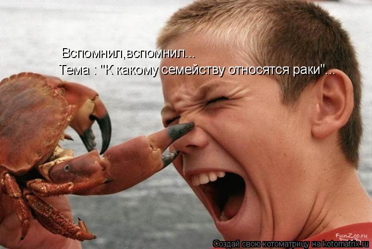 Вспомнил,вспомнил... Тема : "К какому семейству относятся раки"...... Котоматрица: Вспомнил,вспомнил... Тема : "К какому семейству относятся раки"...