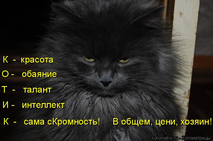 К - красота О - обаяние Т - талант И - интеллект К - сама сКромность! В общем, цени, ... Котоматрица: К - красота О - обаяние Т - талант И - интеллект К - сама сКромность! В общем, цени, хозяин!