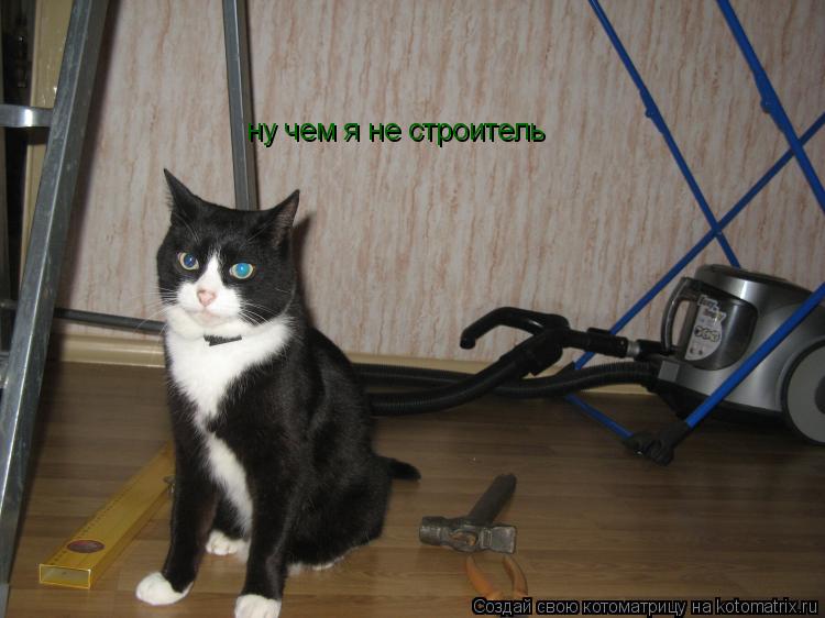 ну чем я не строитель... Котоматрица: ну чем я не строитель
