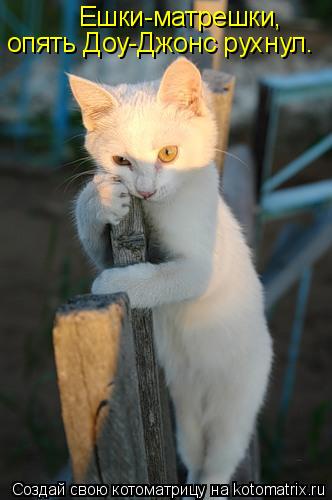 Котоматрица: опять Доу-Джонс рухнул. Ешки-матрешки,