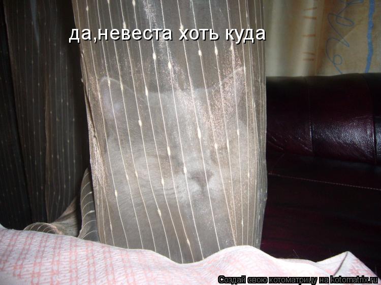 да,невеста хоть куда... Котоматрица: да,невеста хоть куда