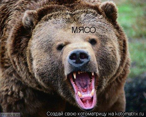 МЯСО... Котоматрица: МЯСО