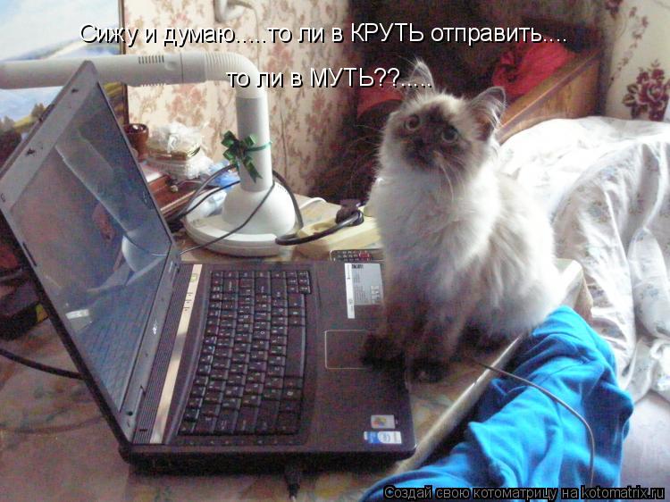 Сижу и думаю.....то ли в КРУТЬ отправить.... то ли в МУТЬ??........ Котоматрица: Сижу и думаю.....то ли в КРУТЬ отправить.... то ли в МУТЬ??.....
