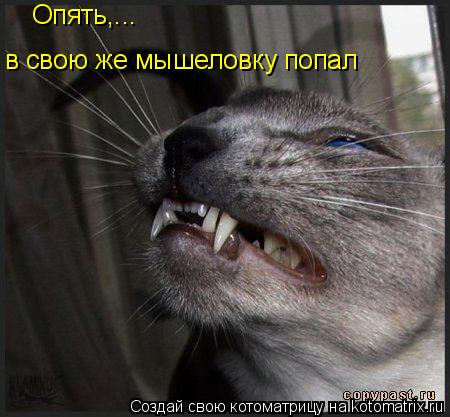Опять,... в свою же мышеловку попал... Котоматрица: Опять,... в свою же мышеловку попал