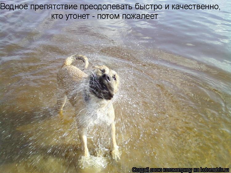 Водное препятствие преодолевать быстро и качественно, кто утонет - потом пожалеет... Котоматрица: Водное препятствие преодолевать быстро и качественно, кто утонет - потом пожалеет