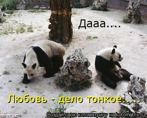 Дааа.... Любовь - дело тонкое........ Котоматрица: Дааа.... Любовь - дело тонкое.....