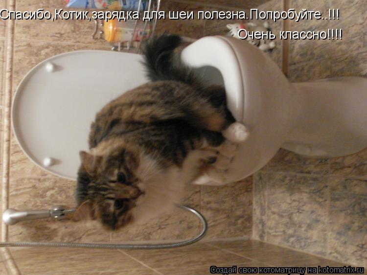 Спасибо,Котик,зарядка для шеи полезна.Попробуйте..!!! Очень классно!!!!... Котоматрица: Спасибо,Котик,зарядка для шеи полезна.Попробуйте..!!! Очень классно!!!!