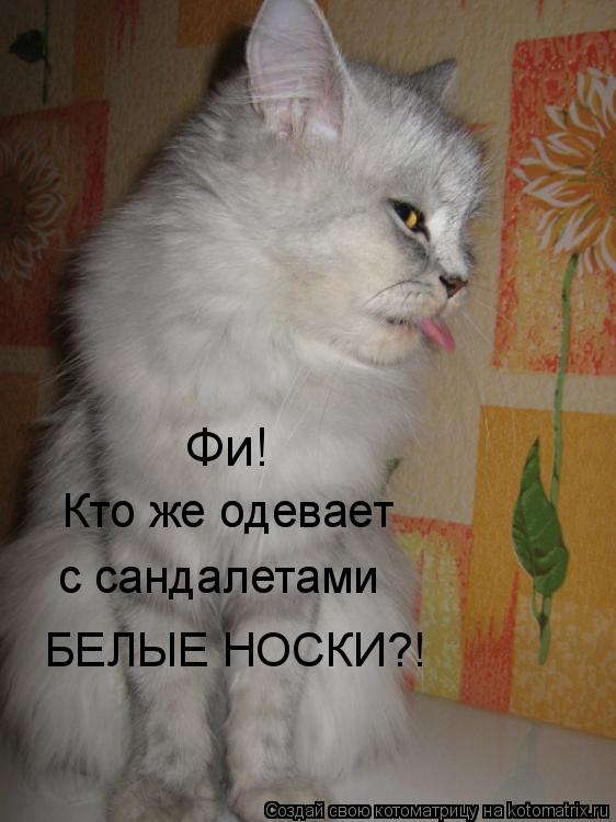 Фи! Кто же одевает с сандалетами БЕЛЫЕ НОСКИ?!... Котоматрица: Фи! Кто же одевает с сандалетами БЕЛЫЕ НОСКИ?!