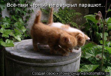 Всё-таки чёрный не раскрыл парашют...... Котоматрица: Всё-таки чёрный не раскрыл парашют...