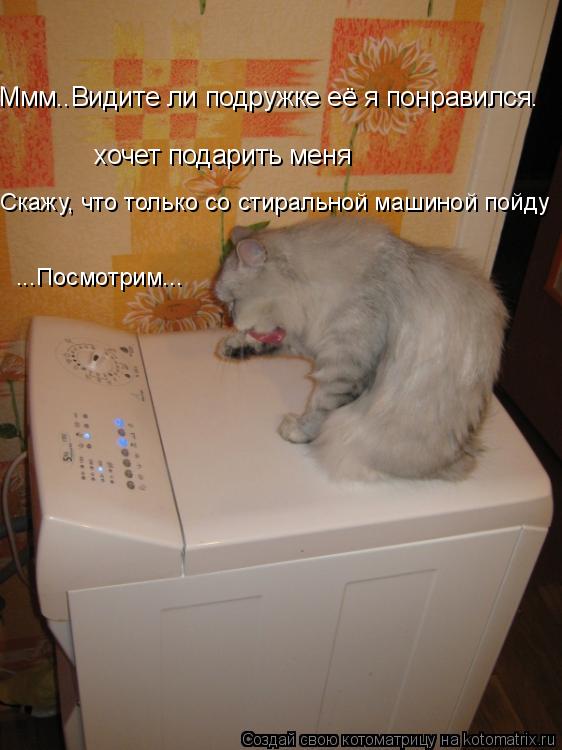 хочет подарить меня Скажу, что только со стиральной машиной пойду ...Посмотрим... Ммм..Видите ли подр... Котоматрица: хочет подарить меня Скажу, что только со стиральной машиной пойду ...Посмотрим... Ммм..Видите ли подружке её я понравился.