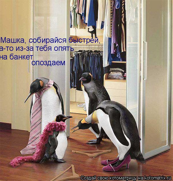 Машка, собирайся быстрей, а-то из-за тебя опять на банкет опоздаем... Котоматрица: Машка, собирайся быстрей, а-то из-за тебя опять на банкет опоздаем