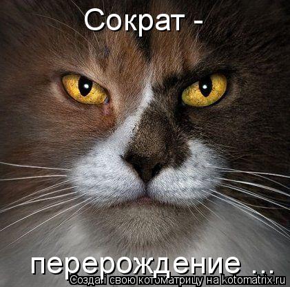 Сократ - перерождение ...... Котоматрица: Сократ - перерождение ...