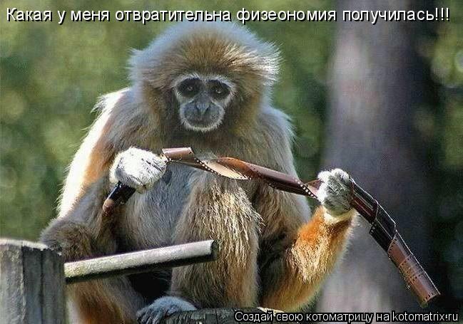 Какая у меня отвратительна физеономия получилась!!!... Котоматрица: Какая у меня отвратительна физеономия получилась!!!