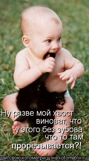 Ну разве мой хвост виноват, что у этого без зубова что то там прорезывается?!... Котоматрица: Ну разве мой хвост виноват, что у этого без зубова что то там прорезывается?!