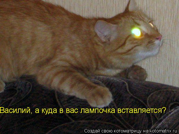 Василий, а куда в вас лампочка вставляется?... Котоматрица: Василий, а куда в вас лампочка вставляется?