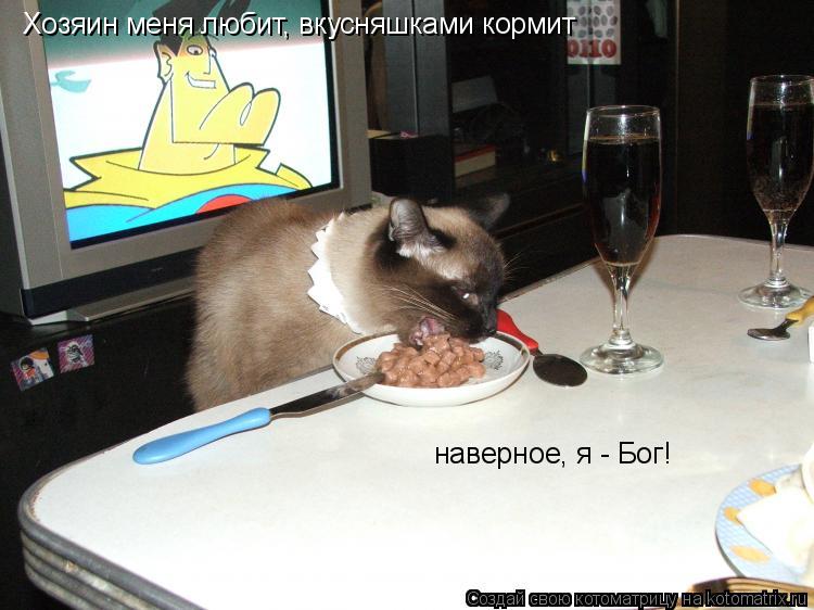 Хозяин меня любит, вкусняшками кормит наверное, я - Бог!... Котоматрица: Хозяин меня любит, вкусняшками кормит наверное, я - Бог!