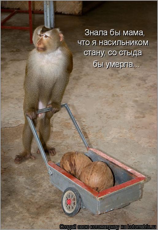 Знала бы мама, стану, со стыда что я насильником бы умерла...... Котоматрица: Знала бы мама, стану, со стыда что я насильником бы умерла...