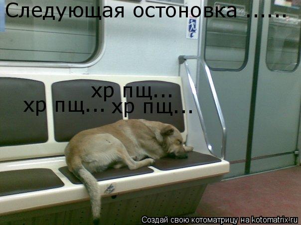 Следующая остоновка ...... хр пщ... хр пщ... хр пщ...... Котоматрица: Следующая остоновка ...... хр пщ... хр пщ... хр пщ...
